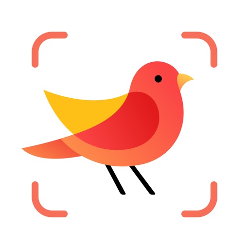 Ícone do Picture Bird