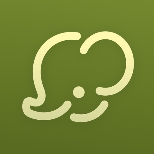 Loopsy